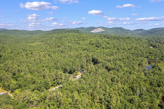 152 Quarry Rd, Limerick, ME 04048 - drone / aerial view of a forest and a mountainous background