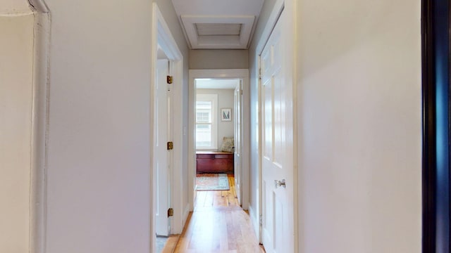 16 Grand St, South Portland, ME 04106 - photo 31