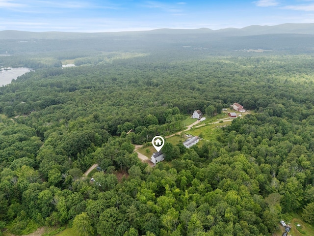 30 Cogliandro Dr, Acton, ME 04001 - bird's eye view of a forest and a mountainous background