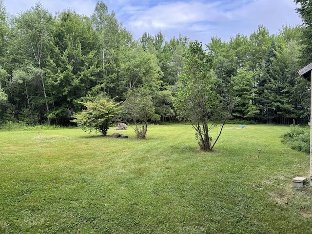 24 N Tiery St, Old Town, ME 04468 - view of green lawn