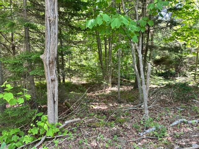 LOT17C Bristol Rd, Bristol, ME 04554