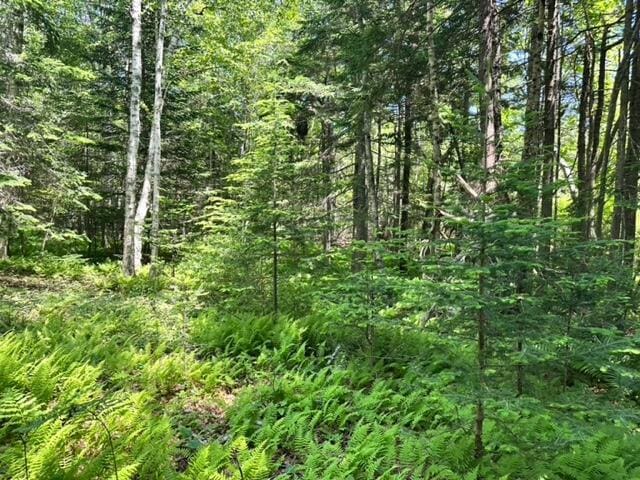LOT17C Bristol Rd, Bristol, ME 04554