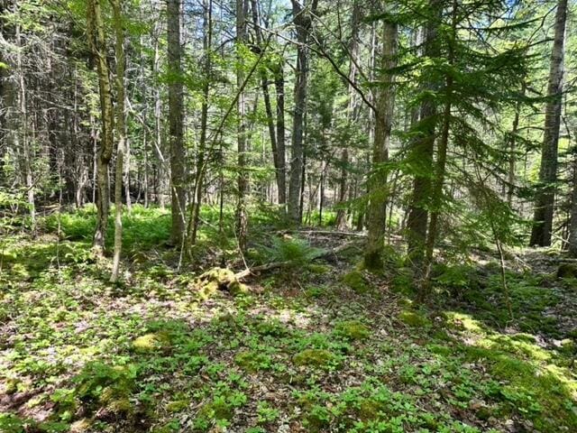 LOT17C Bristol Rd, Bristol, ME 04554