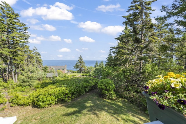 20 Spruce Ledge Rd, Harpswell, ME 04003 - photo 98