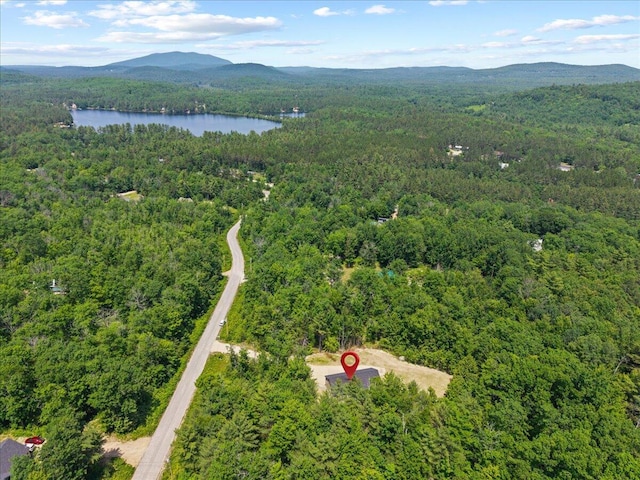 34 Oak Woods Dr, Hiram, ME 04041 - aerial view of a heavily wooded area and a water and mountain view