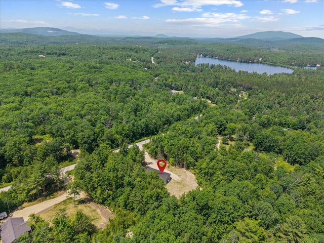 34 Oak Woods Dr, Hiram, ME 04041 - bird's eye view of a forest and a water and mountain view