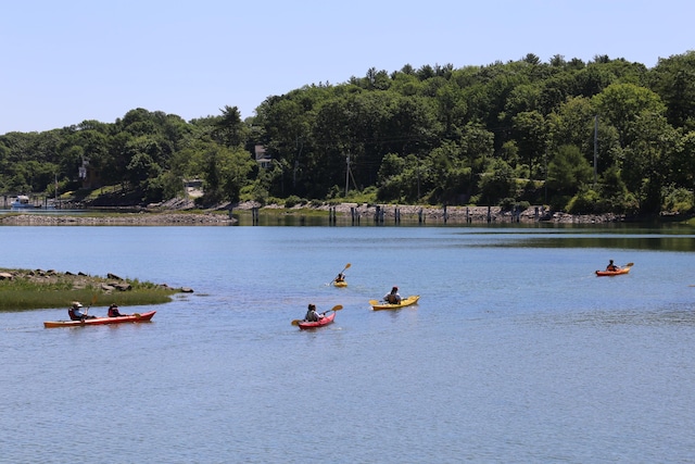 297 Long Beach Ave, York, ME 03909 - water view with a forest