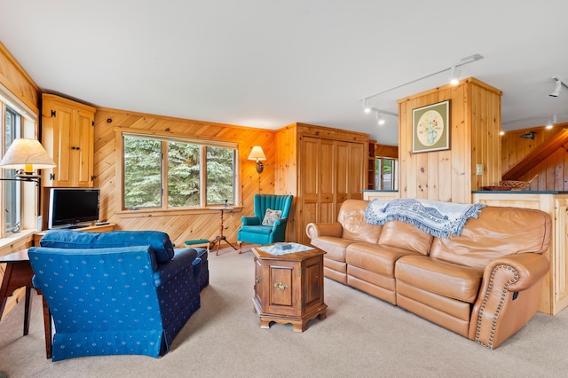 11 Overlook Rd, Rangeley, ME 04970 - living area with rail lighting, wooden walls, and carpet flooring