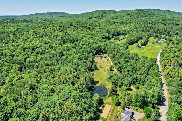 557 S Rd, Holden, ME 04429 - photo 1