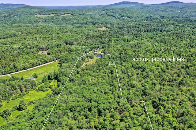 557 S Rd, Holden, ME 04429 - photo 4