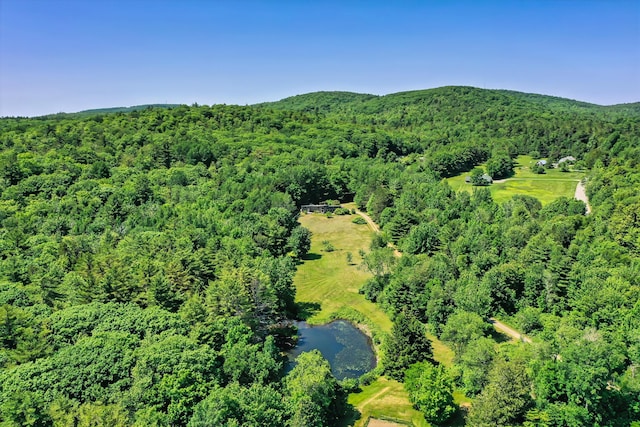 557 S Rd, Holden, ME 04429 - photo 34