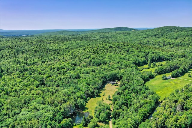 557 S Rd, Holden, ME 04429 - photo 31