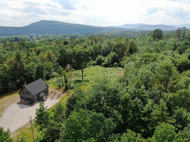 42A Stearns Hill Ln, Hanover, ME 04237