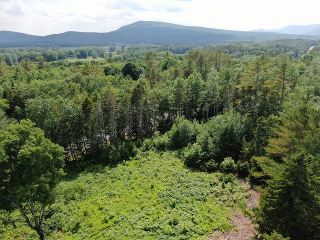 42A Stearns Hill Ln, Hanover, ME 04237