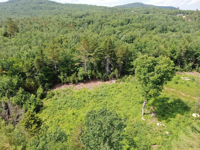 42A Stearns Hill Ln, Hanover, ME 04237