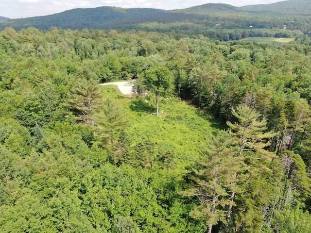 42A Stearns Hill Ln, Hanover, ME 04237