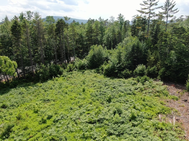 42A Stearns Hill Ln, Hanover, ME 04237