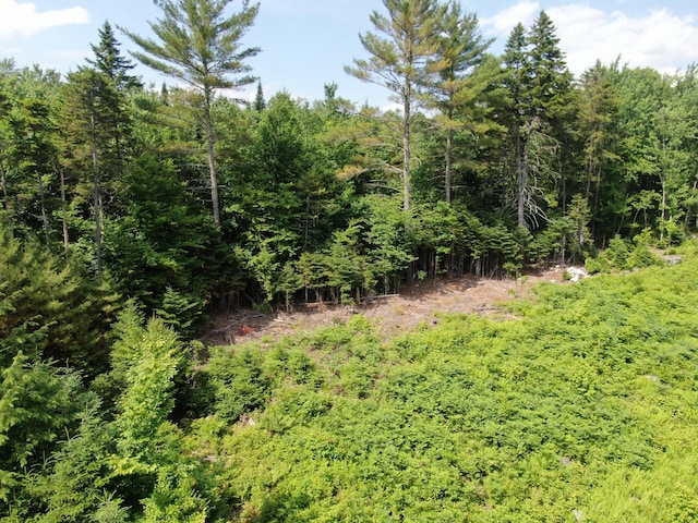 42A Stearns Hill Ln, Hanover, ME 04237