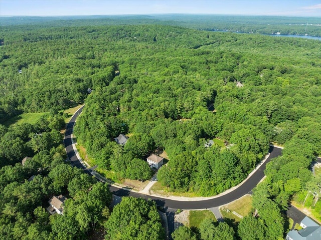 37 Ambrose Cir, Gray, ME 04039 - photo 41