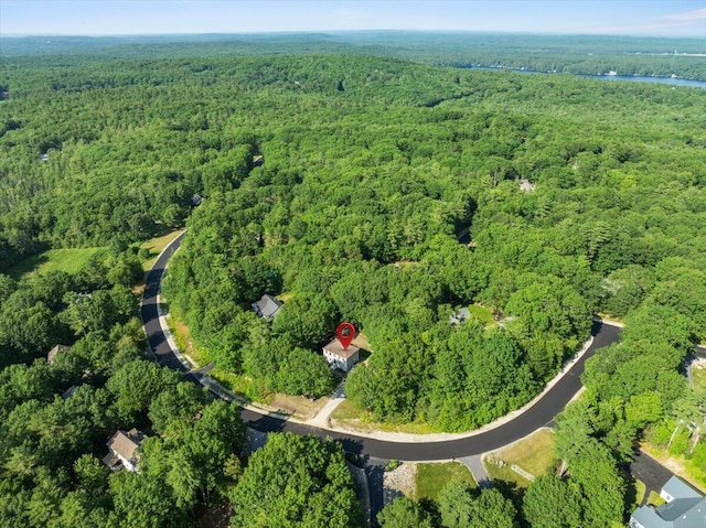 37 Ambrose Cir, Gray, ME 04039 - photo 42