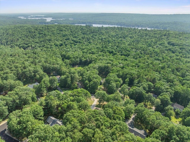 37 Ambrose Cir, Gray, ME 04039 - photo 48