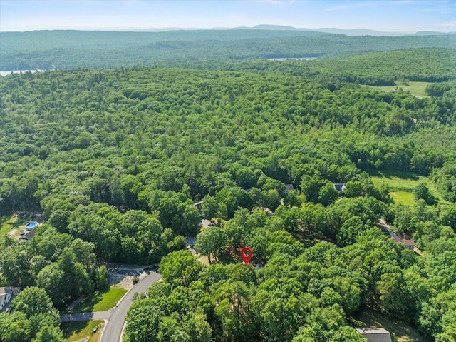 37 Ambrose Cir, Gray, ME 04039 - photo 49