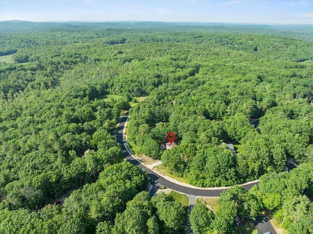 37 Ambrose Cir, Gray, ME 04039 - photo 53
