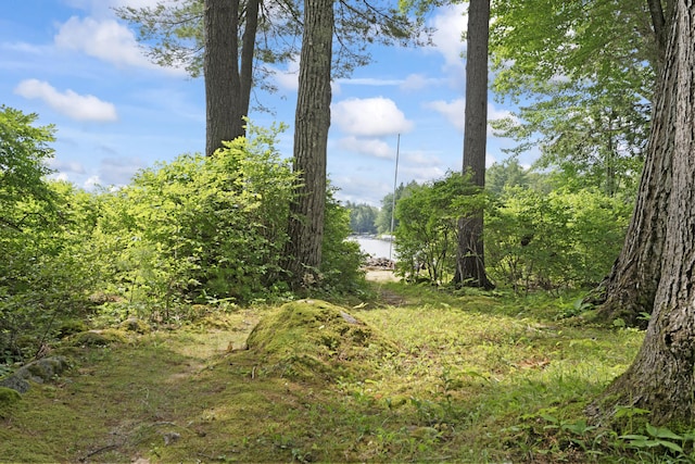 7 Papoose Island Rd, Raymond, ME 04071 - view of yard featuring a view of trees