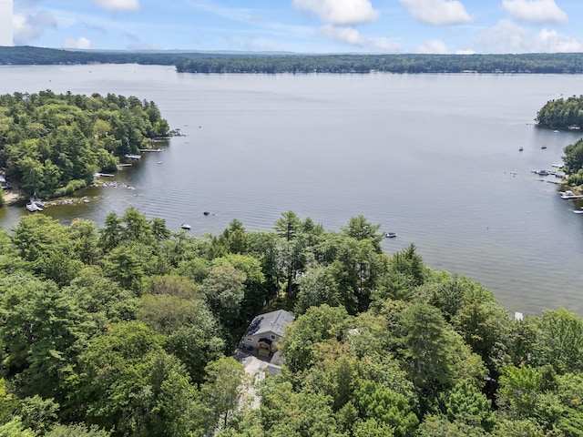 7 Papoose Island Rd, Raymond, ME 04071 - bird's eye view of a large body of water
