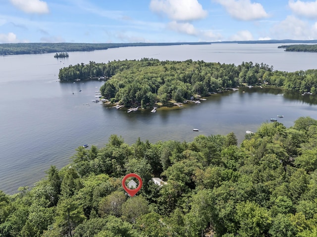 7 Papoose Island Rd, Raymond, ME 04071 - aerial view of a large body of water