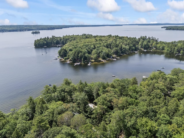 7 Papoose Island Rd, Raymond, ME 04071 - bird's eye view of a nearby body of water and a forest