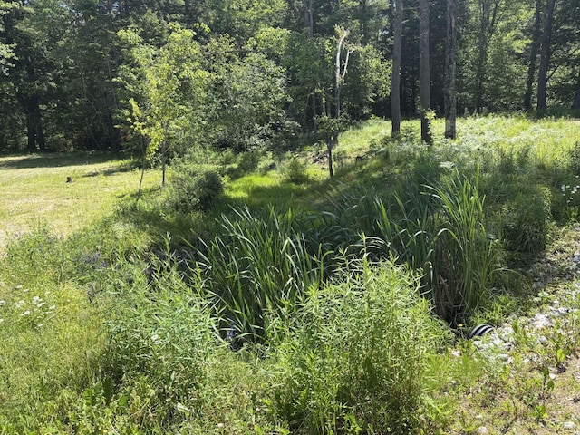 469 Poland Range Rd, Pownal, ME 04069 - photo 7