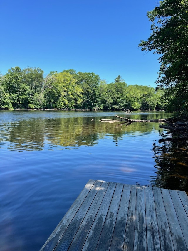 2 Far View Cir, Saco, ME 04072 - dock featuring a water view and a forest view