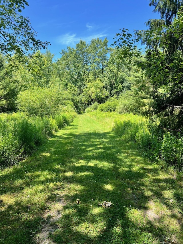 2 Far View Cir, Saco, ME 04072 - view of green lawn