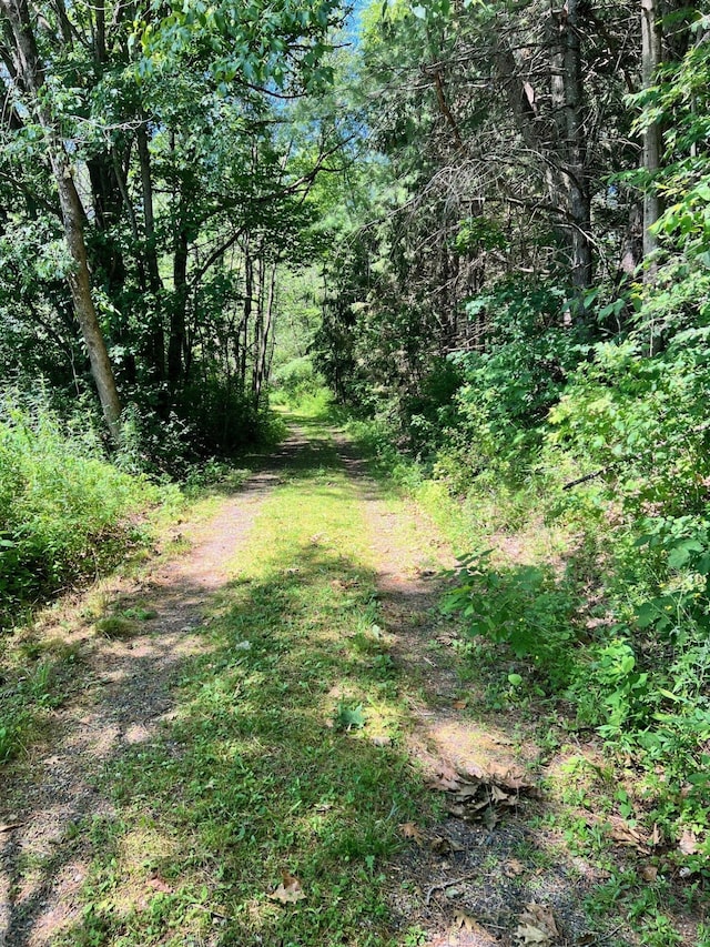 2 Far View Cir, Saco, ME 04072 - view of street featuring a view of trees