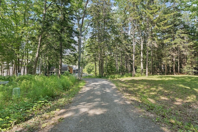 7 Coven Hill Ln, South Bristol, ME 04568 - view of dirt / gravel driveway with a wooded view