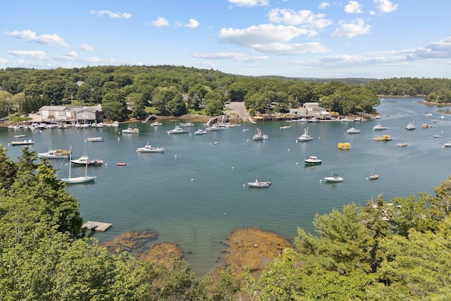 7 Coven Hill Ln, South Bristol, ME 04568 - water view with a forest