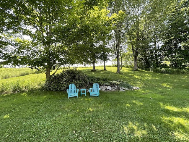 232 Hatch Rd, Prospect, ME 04981 - view of grassy yard