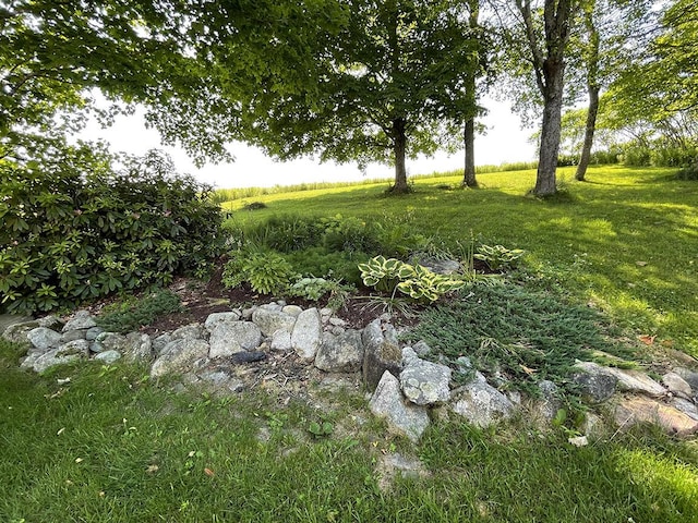 232 Hatch Rd, Prospect, ME 04981 - view of green lawn