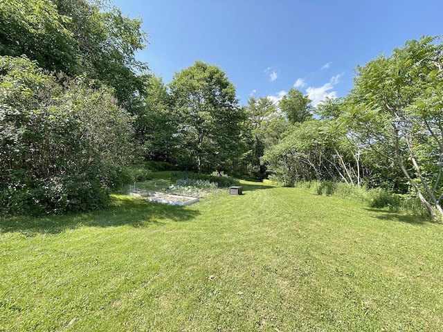 232 Hatch Rd, Prospect, ME 04981 - view of green lawn