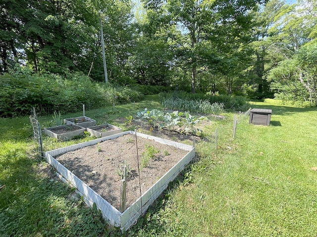 232 Hatch Rd, Prospect, ME 04981 - view of green lawn featuring a vegetable garden
