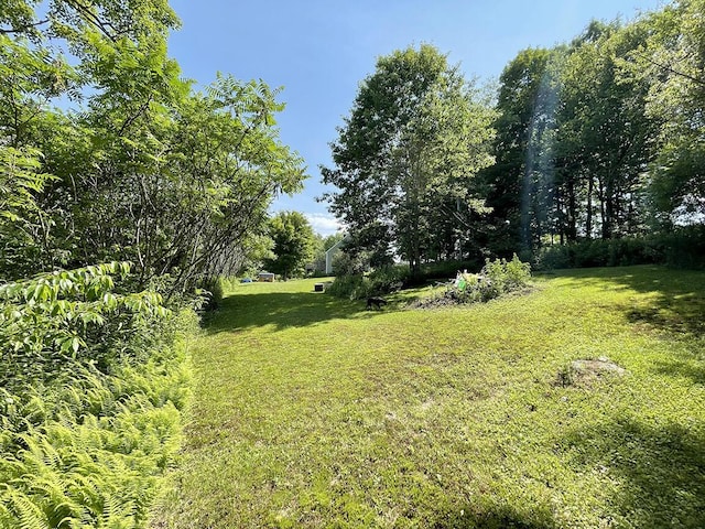 232 Hatch Rd, Prospect, ME 04981 - view of green lawn