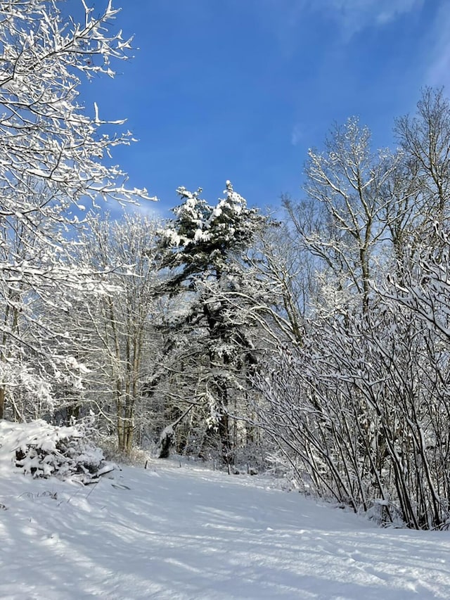 232 Hatch Rd, Prospect, ME 04981 - view of mountain background