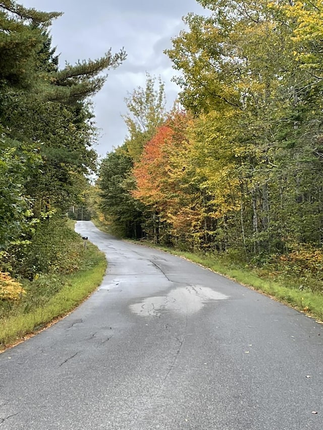 232 Hatch Rd, Prospect, ME 04981 - view of asphalt road with a wooded view