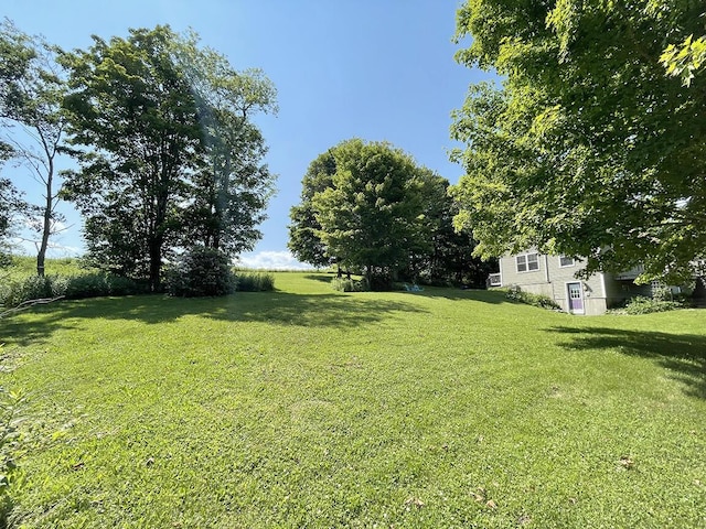 232 Hatch Rd, Prospect, ME 04981 - view of green lawn
