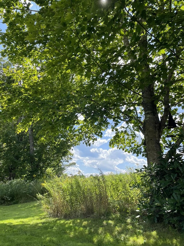 232 Hatch Rd, Prospect, ME 04981 - view of undeveloped land