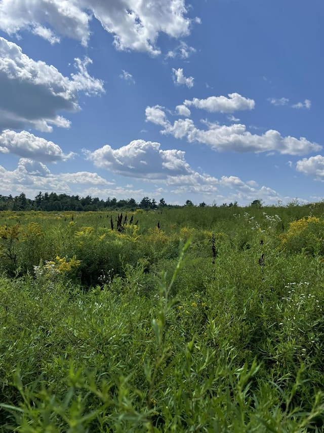 232 Hatch Rd, Prospect, ME 04981 - view of undeveloped land featuring rural landscape