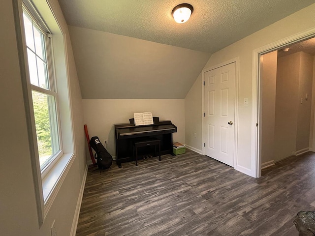 232 Hatch Rd, Prospect, ME 04981 - bonus room with dark wood-type flooring, a textured ceiling, and lofted ceiling