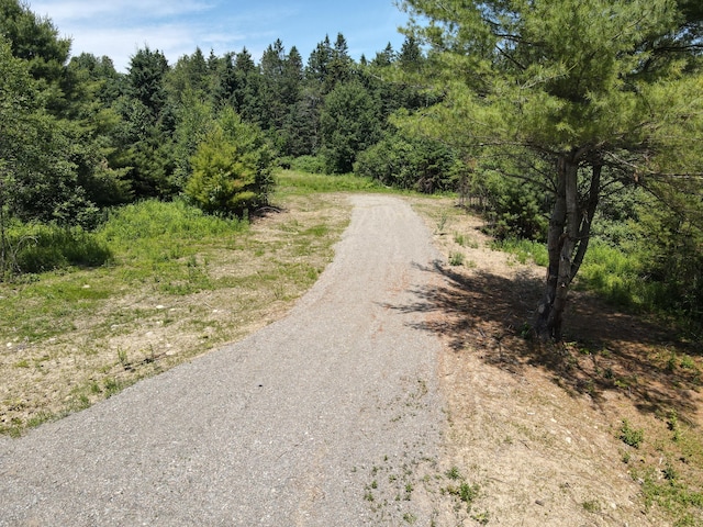 Meadow Rd, Winterport, ME 04496 - photo 3