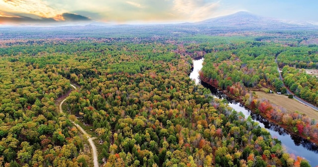 LOT01 N Rd, Parsonsfield, ME 04047 - photo 6